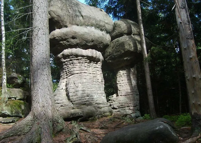 Goscinne Hana Alloggio in famiglia